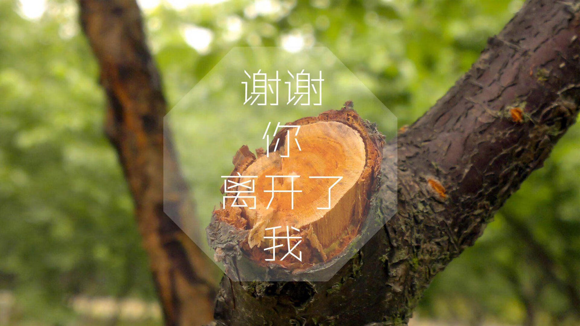 天然蜂蜜为什么会结晶的原因呢（天然蜂蜜都会结晶吗）
